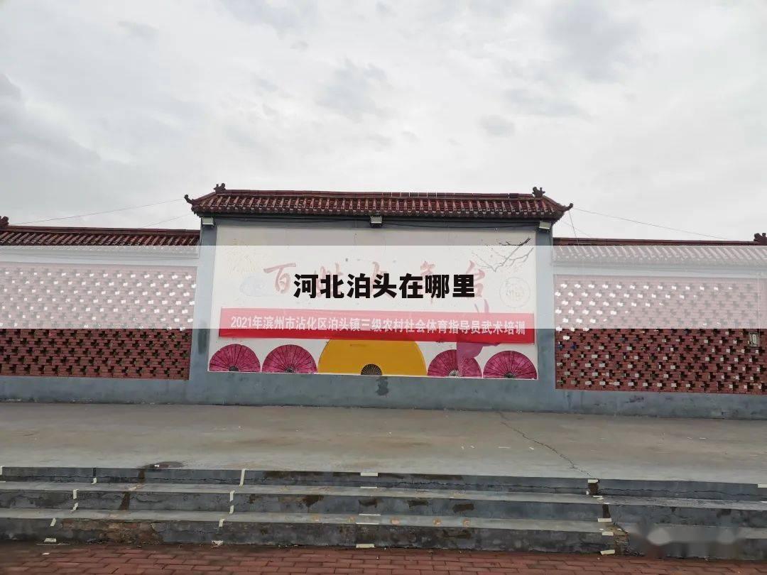 河北泊头在哪里