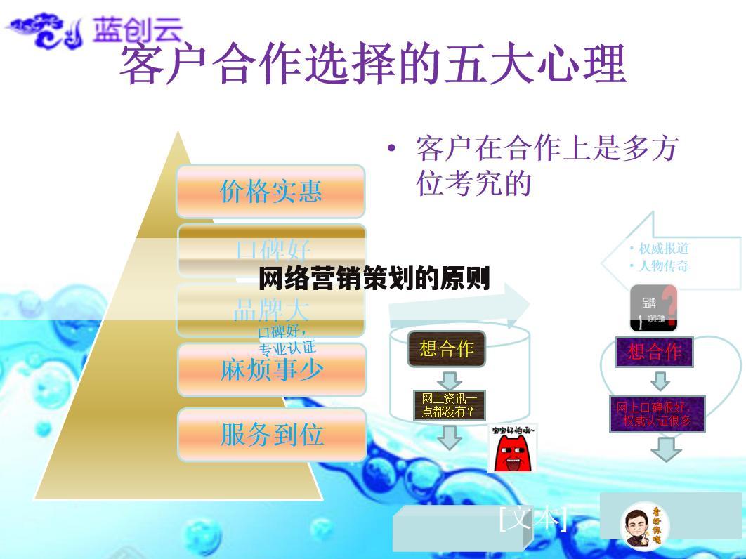 网络营销策划的原则