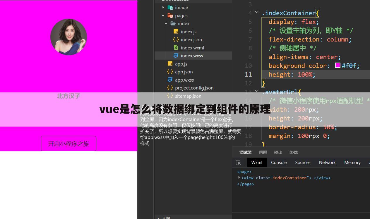 vue是怎么将数据绑定到组件的原理