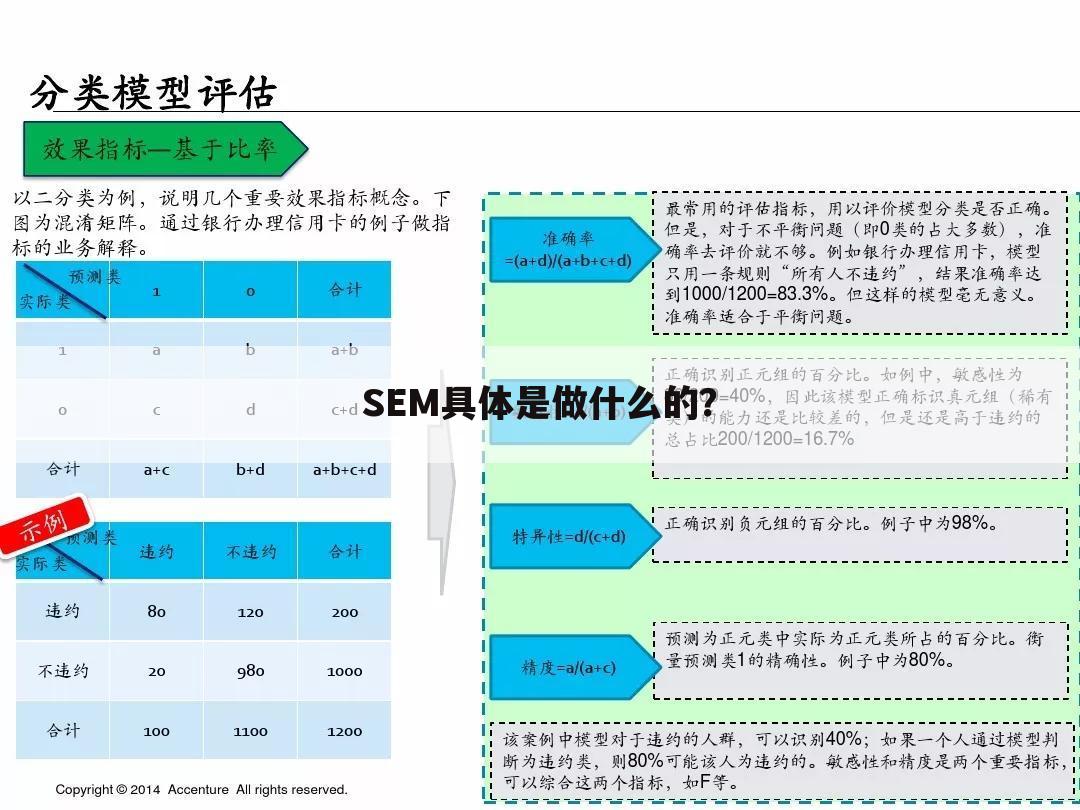 SEM具体是做什么的？
