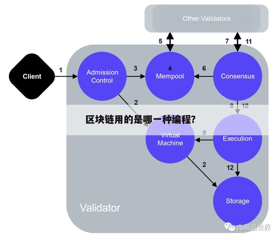 区块链用的是哪一种编程?
