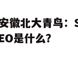 安徽北大青鸟：SEO是什么？