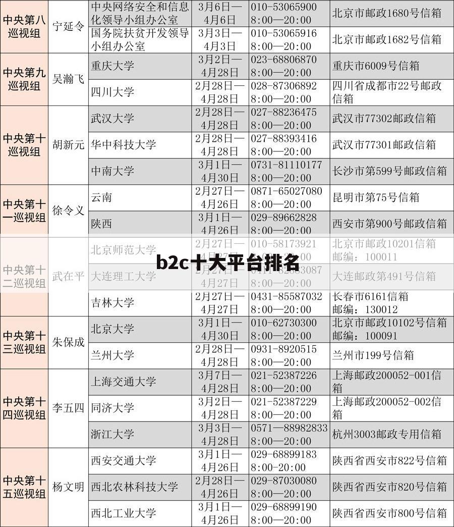 b2c十大平台排名