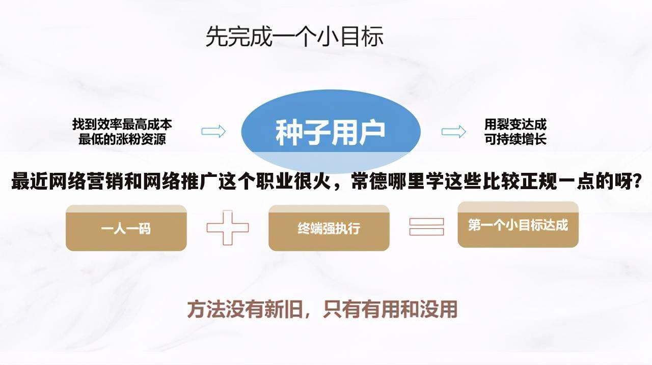最近网络营销和网络推广这个职业很火，常德哪里学这些比较正规一点的呀？