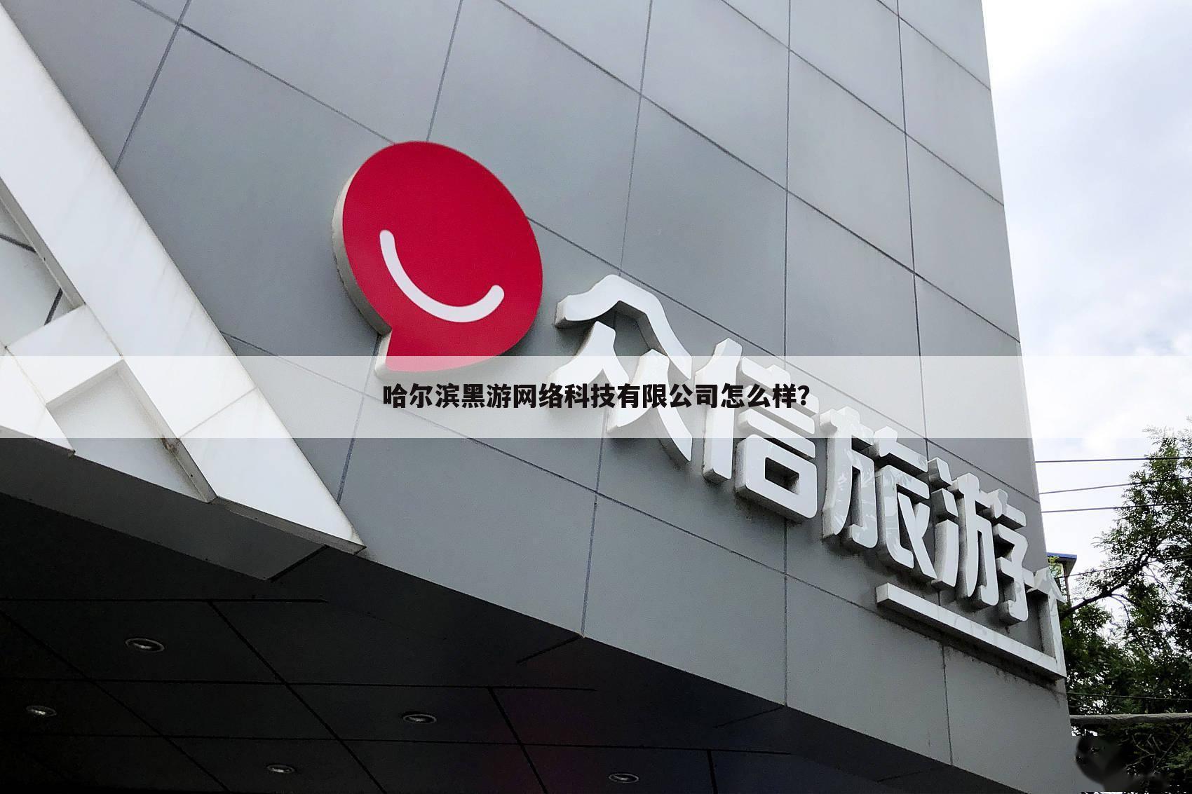 哈尔滨黑游网络科技有限公司怎么样？