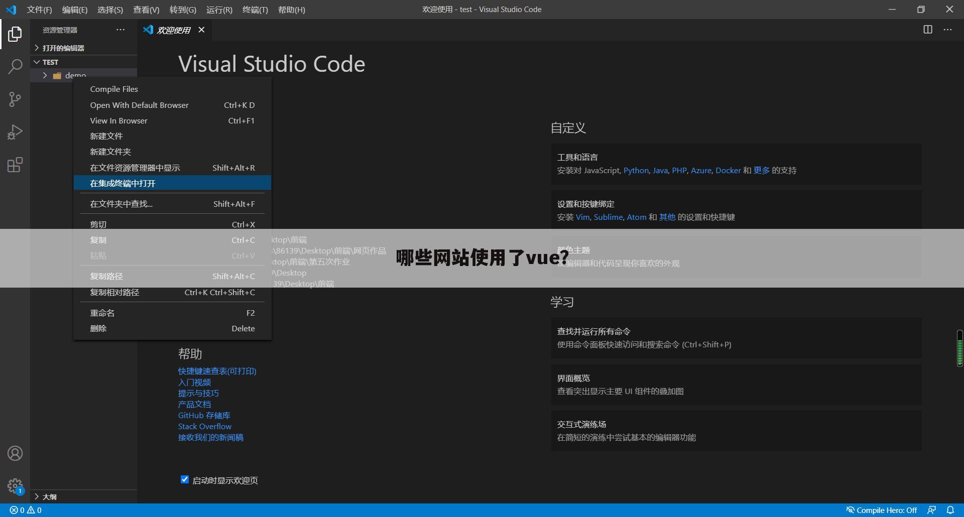 哪些网站使用了vue？