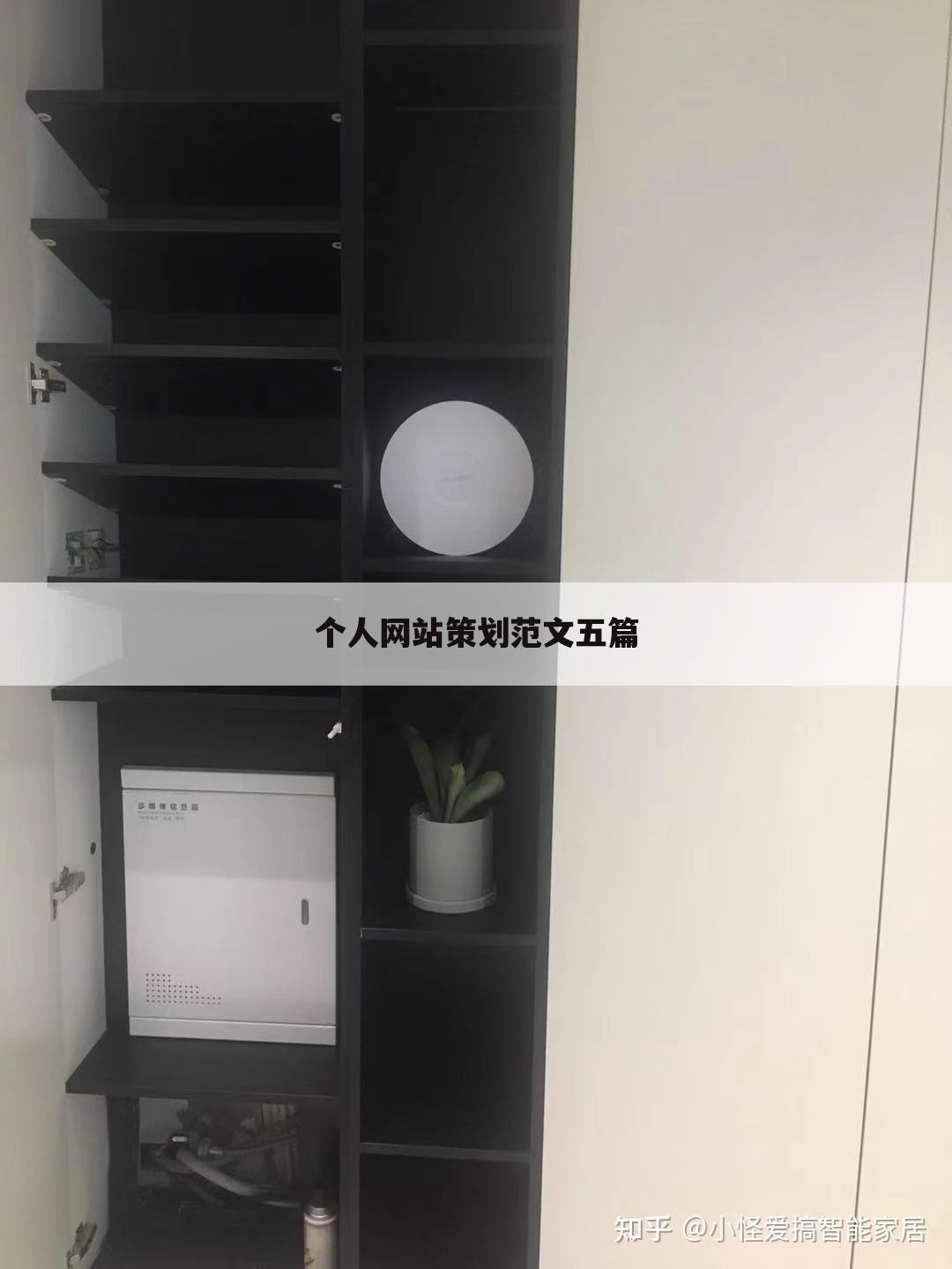 个人网站策划范文五篇