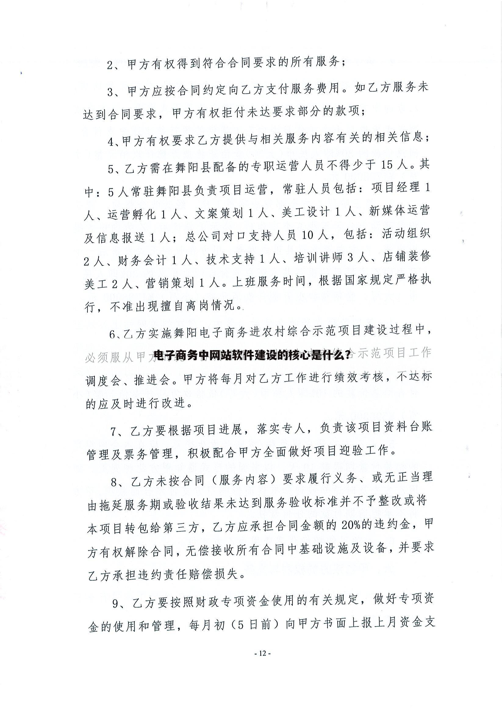 电子商务中网站软件建设的核心是什么?