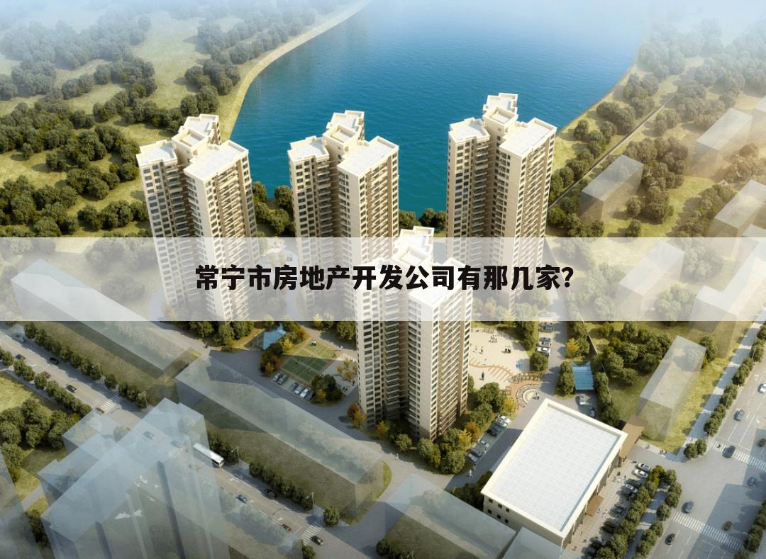 常宁市房地产开发公司有那几家？