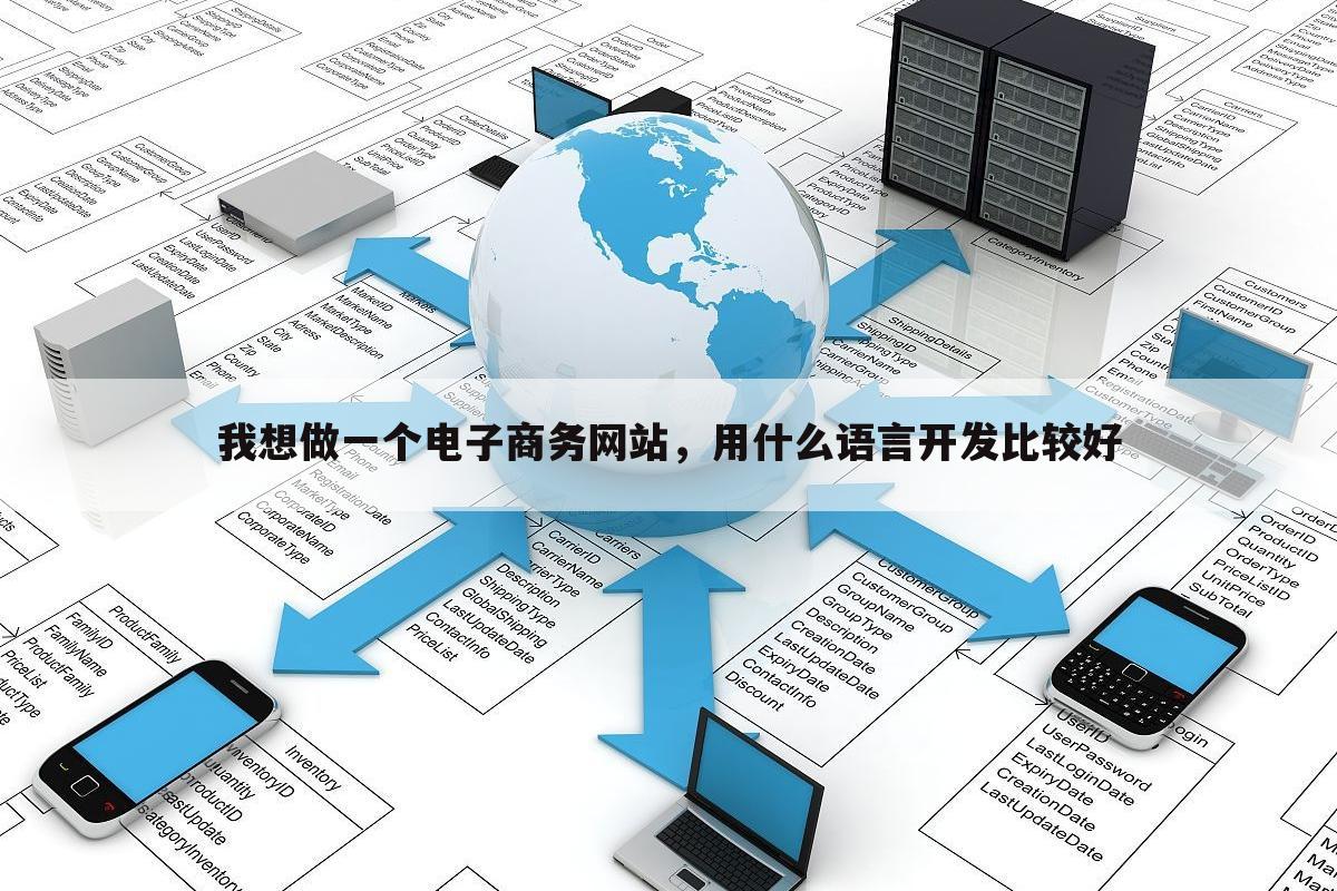 我想做一个电子商务网站，用什么语言开发比较好