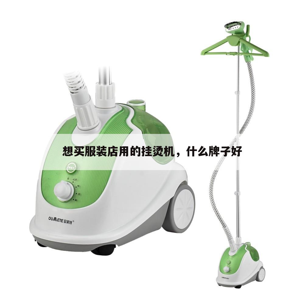 想买服装店用的挂烫机，什么牌子好