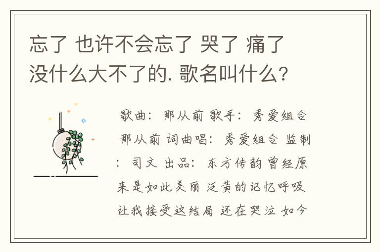 忘了 也许不会忘了 哭了 痛了 没什么大不了的. 歌名叫什么? 说唱的