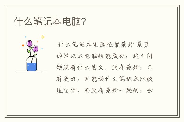 什么笔记本电脑?