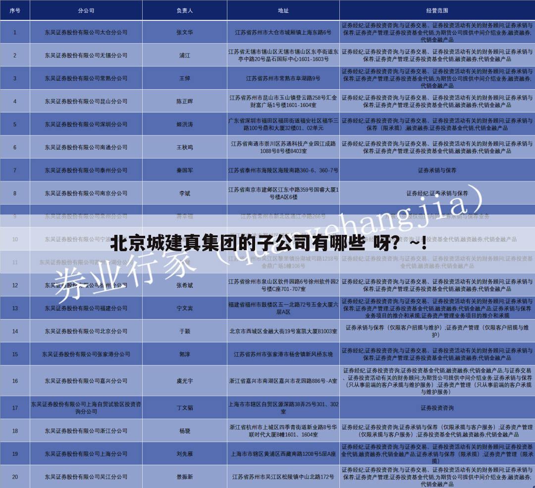 北京城建真集团的子公司有哪些 呀?~!