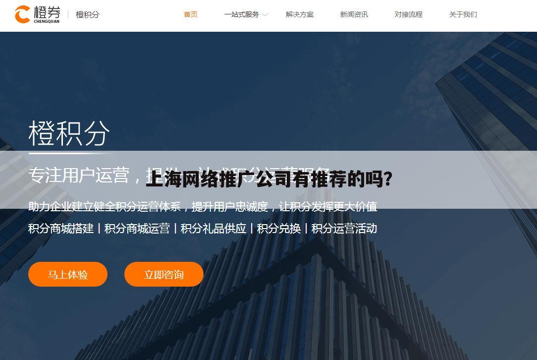 上海网络推广公司有推荐的吗?