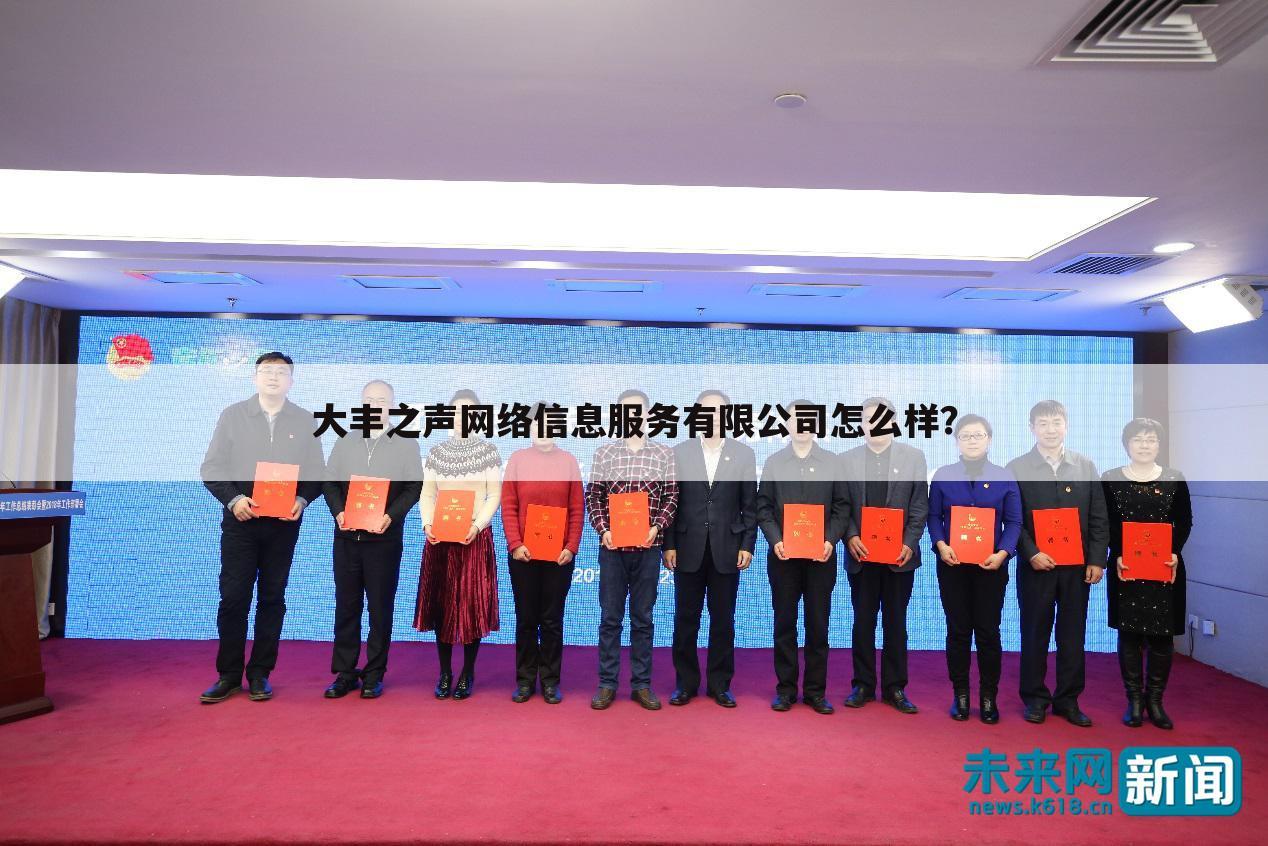 大丰之声网络信息服务有限公司怎么样?