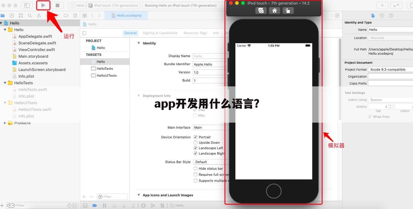 app开发用什么语言？