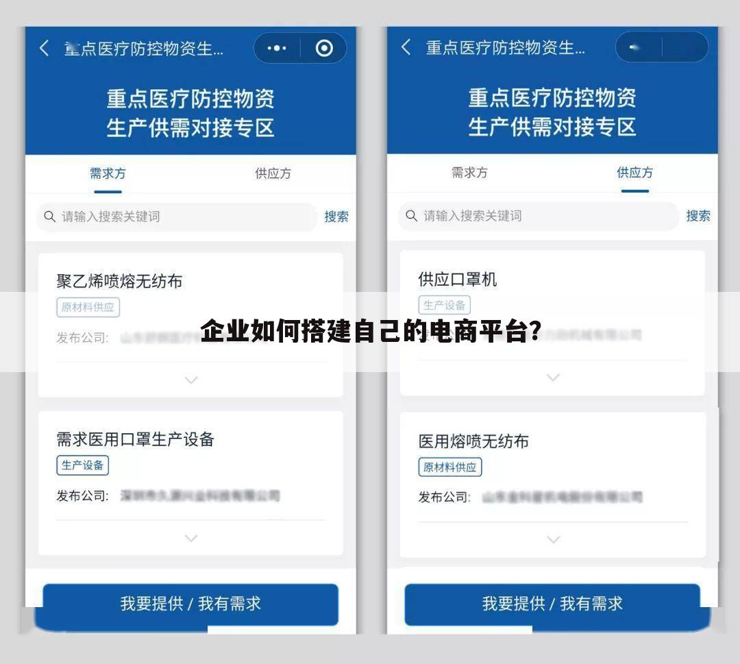 企业如何搭建自己的电商平台？