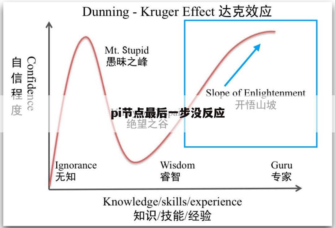 pi节点最后一步没反应