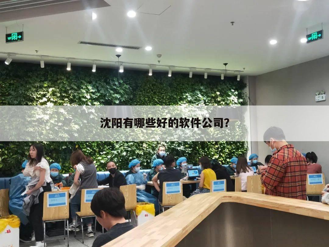 沈阳有哪些好的软件公司？