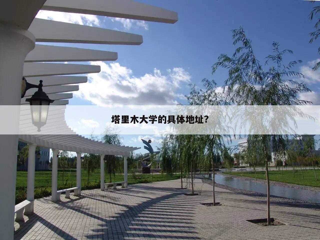 塔里木大学的具体地址?