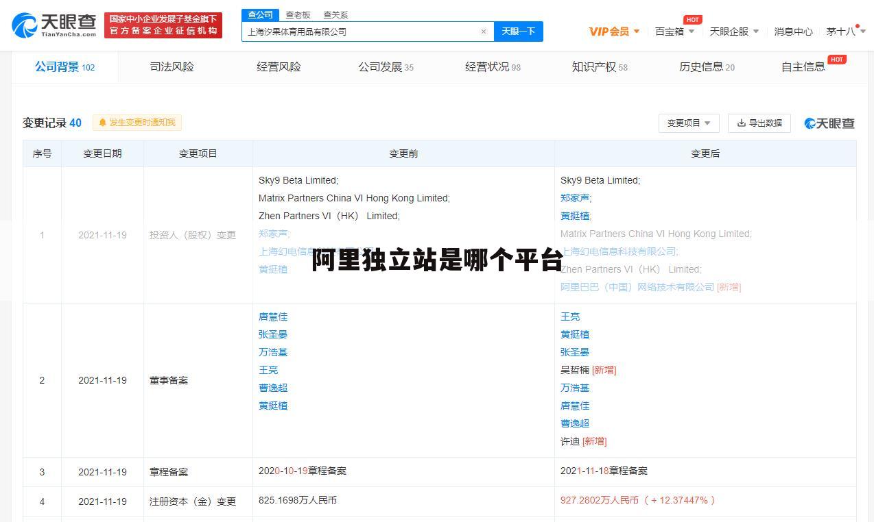 阿里独立站是哪个平台