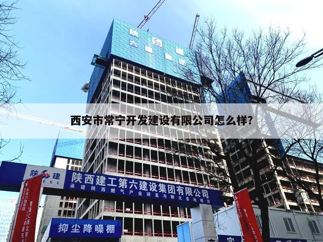 西安市常宁开发建设有限公司怎么样?