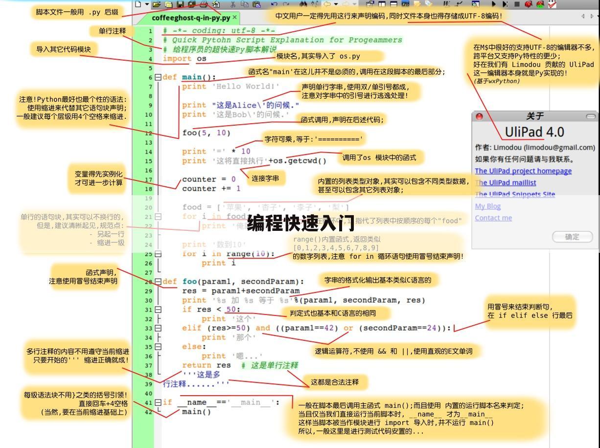 编程快速入门