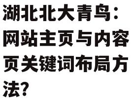 湖北北大青鸟:网站主页与内容页关键词布局方法?