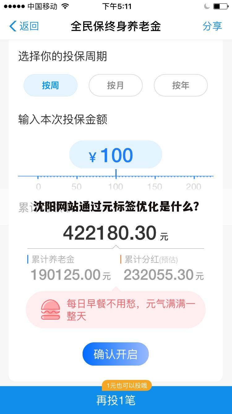 沈阳网站通过元标签优化是什么？