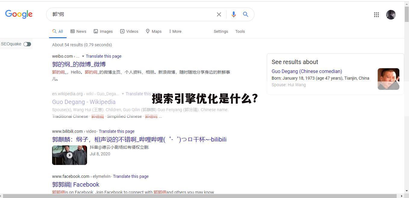 搜索引擎优化是什么?