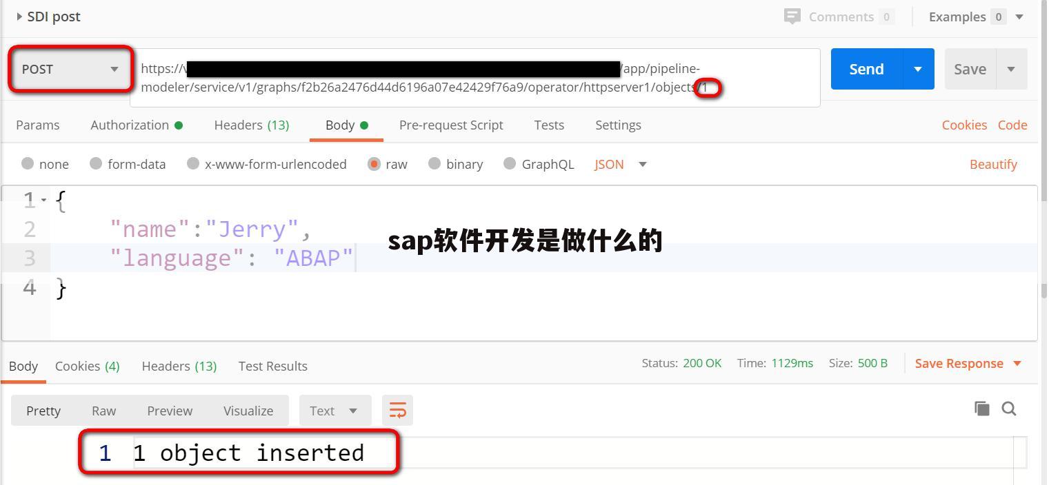 sap软件开发是做什么的
