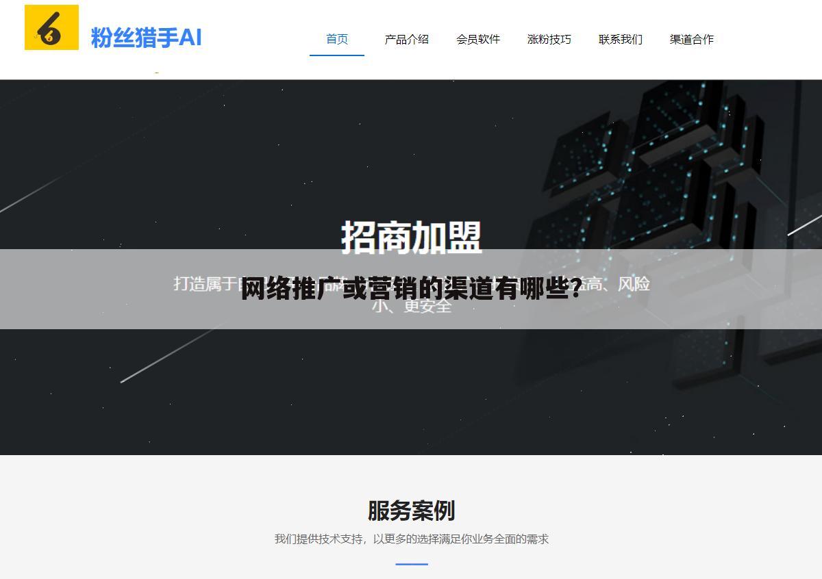 网络推广或营销的渠道有哪些？