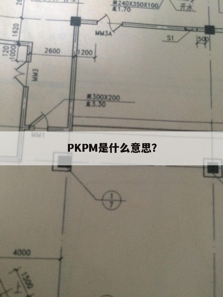 PKPM是什么意思？