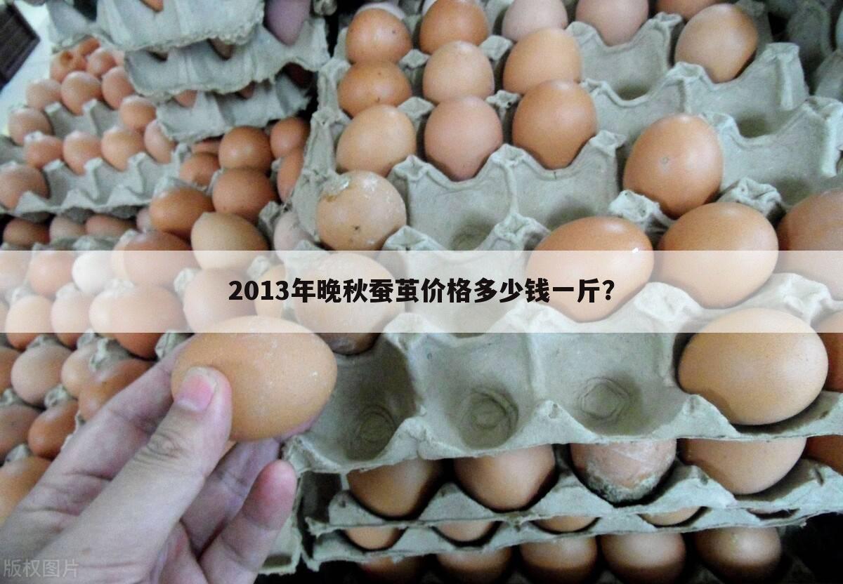 2013年晚秋蚕茧价格多少钱一斤？