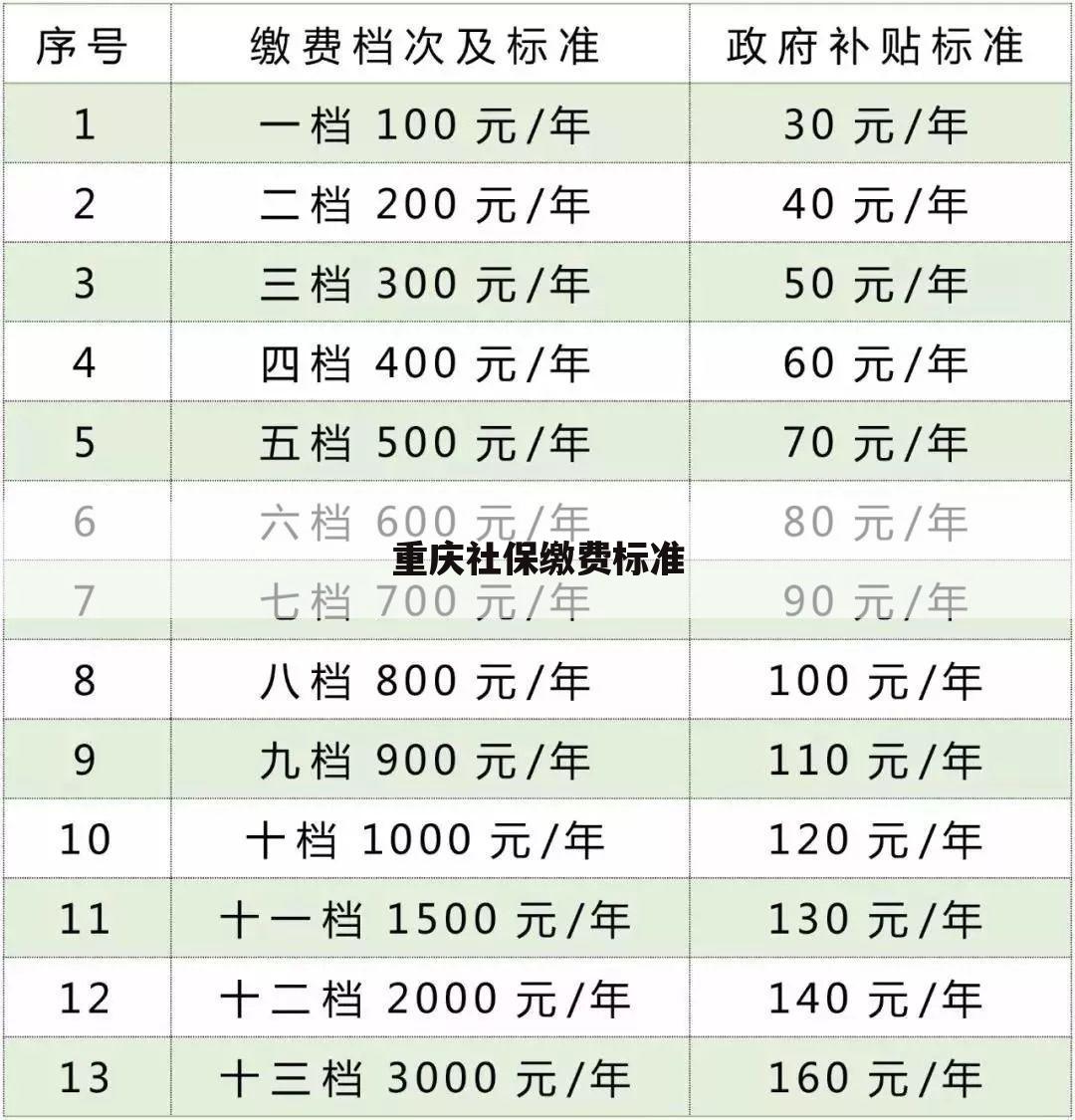 重庆社保缴费标准