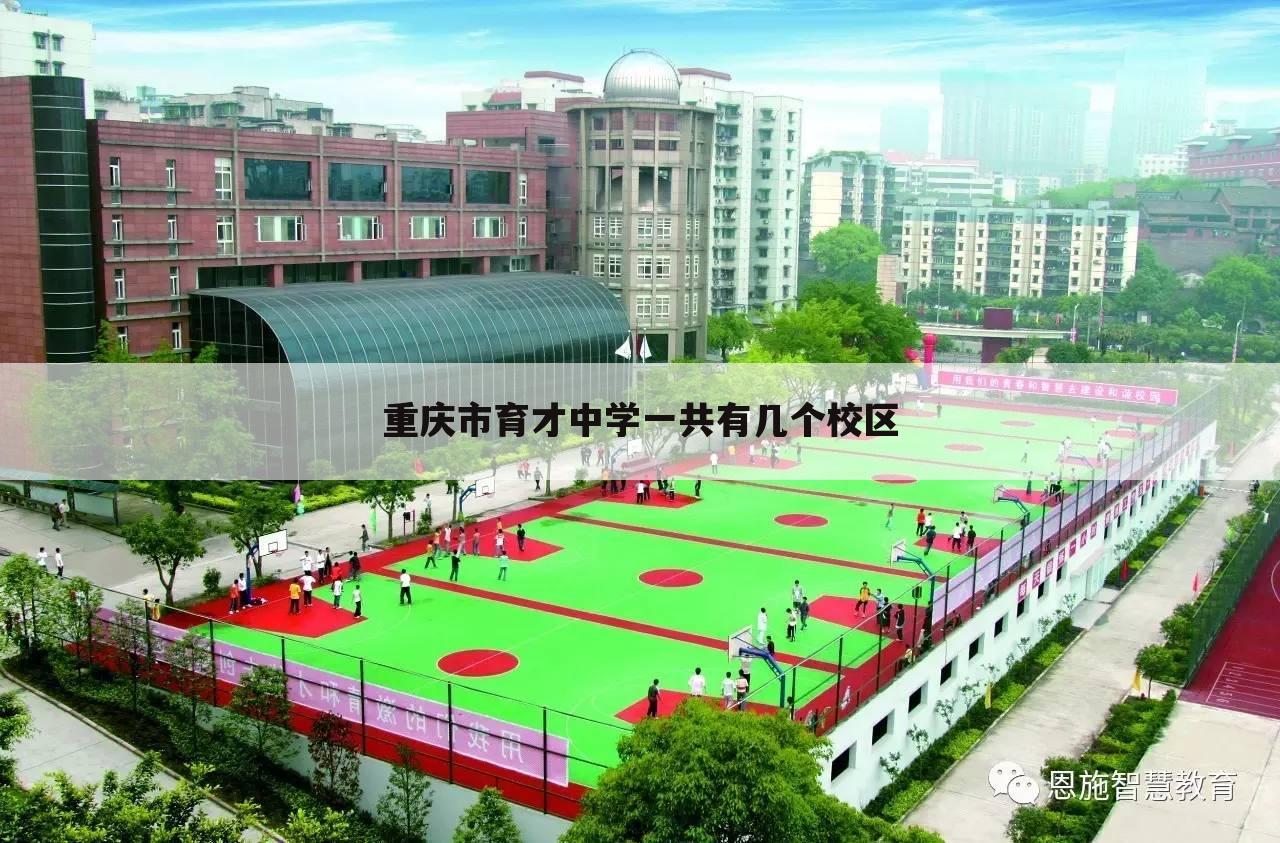 重庆市育才中学一共有几个校区