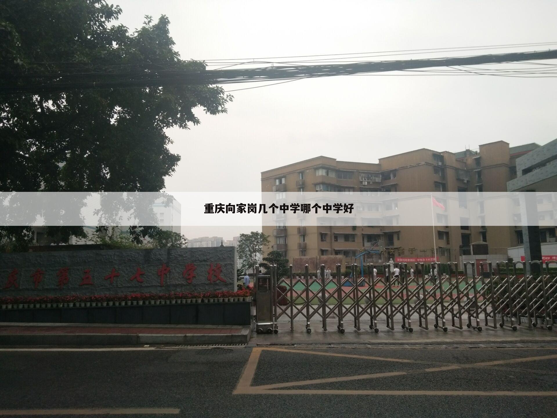 重庆向家岗几个中学哪个中学好