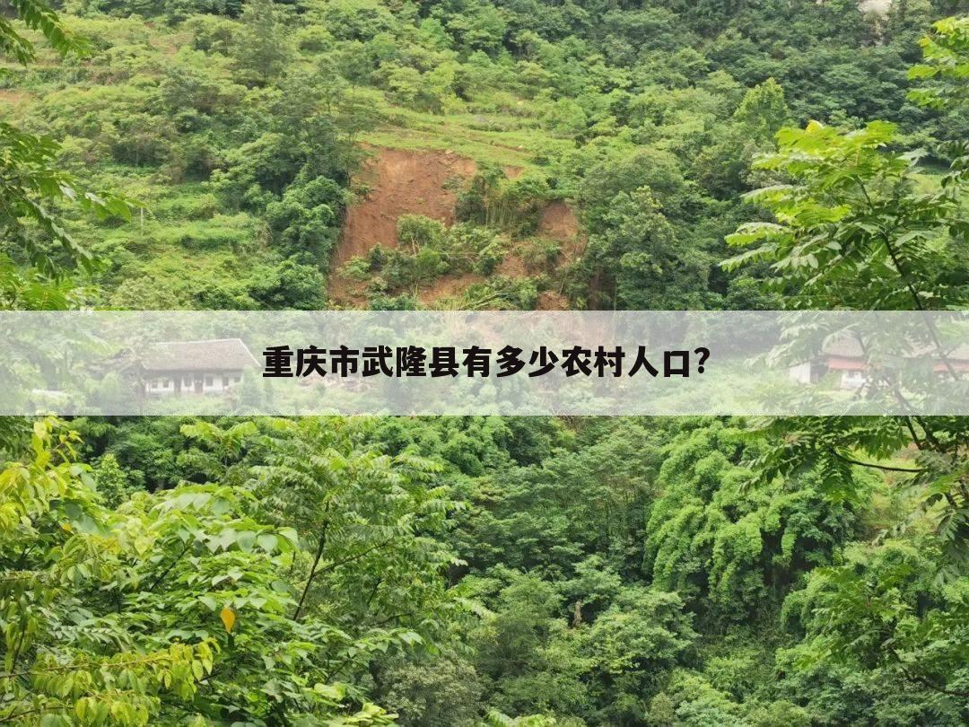 重庆市武隆县有多少农村人口?