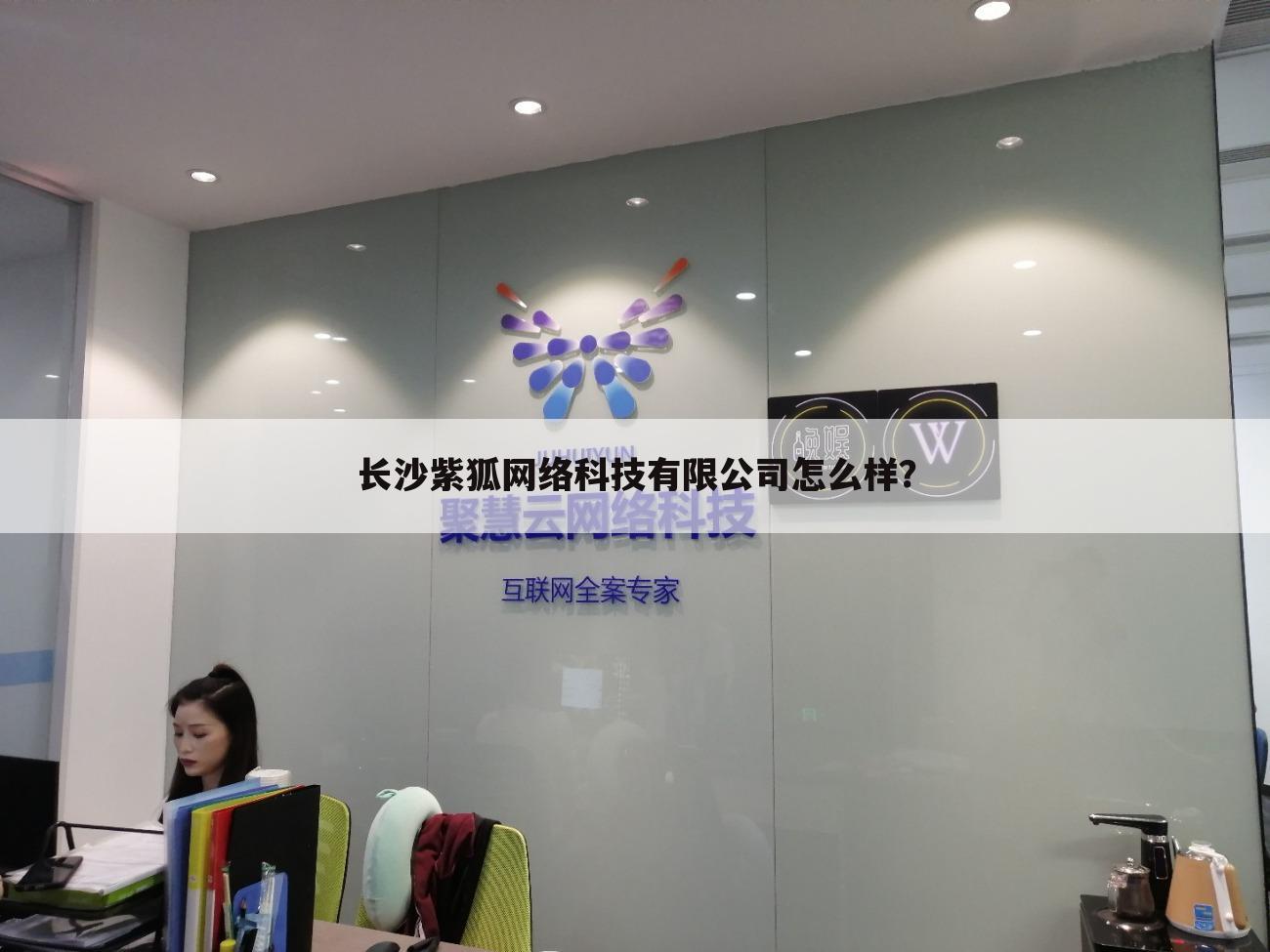 长沙紫狐网络科技有限公司怎么样?