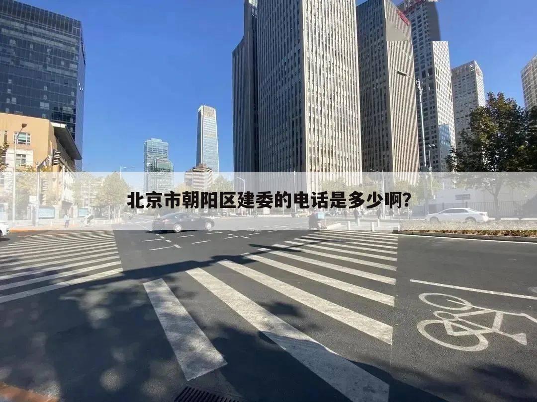 北京市朝阳区建委的电话是多少啊？