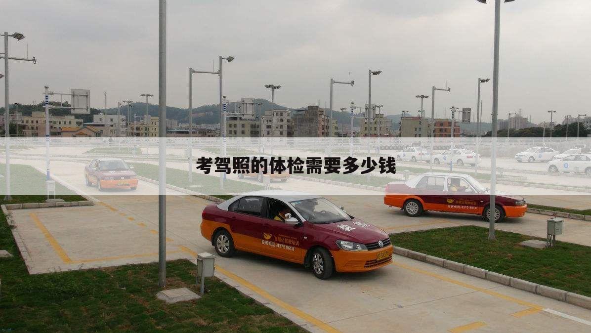 考驾照的体检需要多少钱
