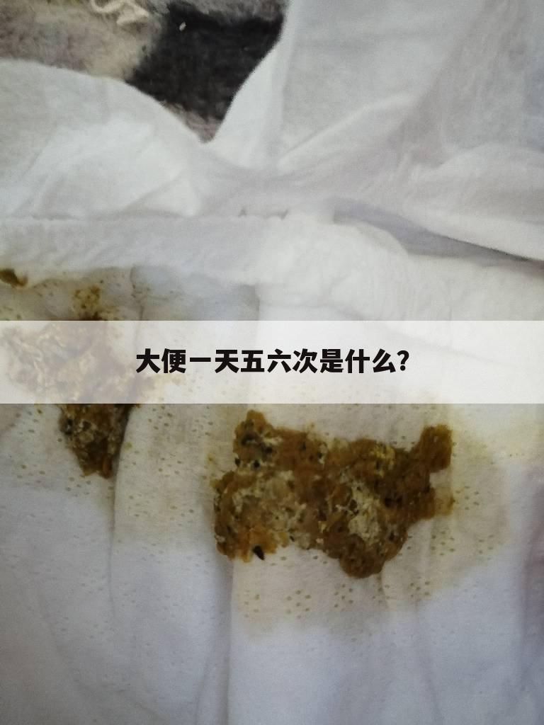大便一天五六次是什么？
