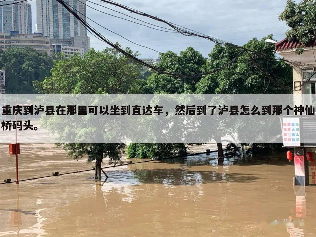 重庆到泸县在那里可以坐到直达车，然后到了泸县怎么到那个神仙桥码头。