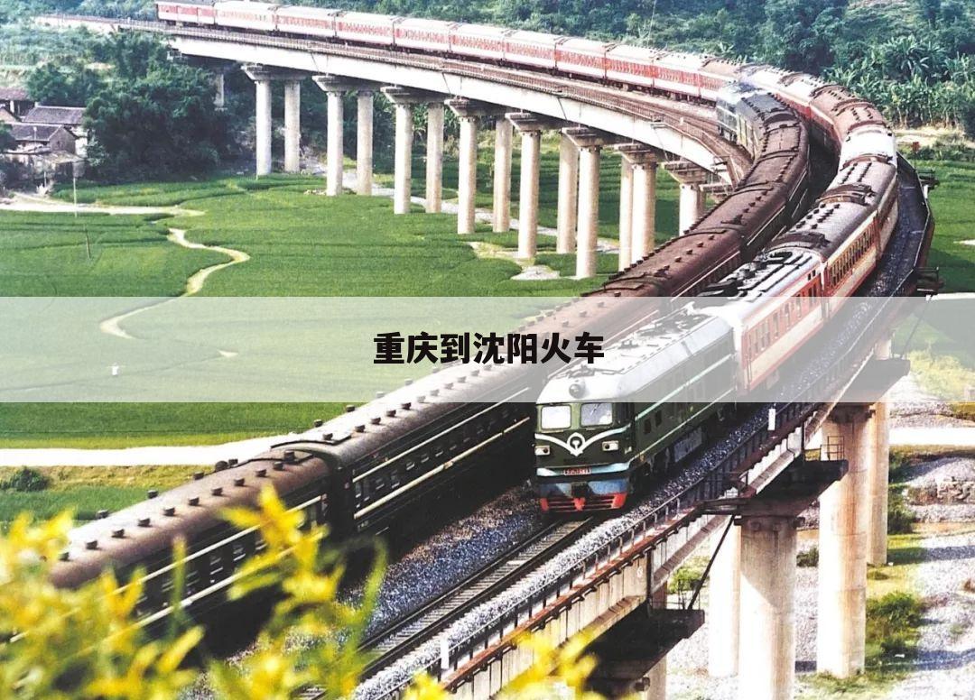 重庆到沈阳火车