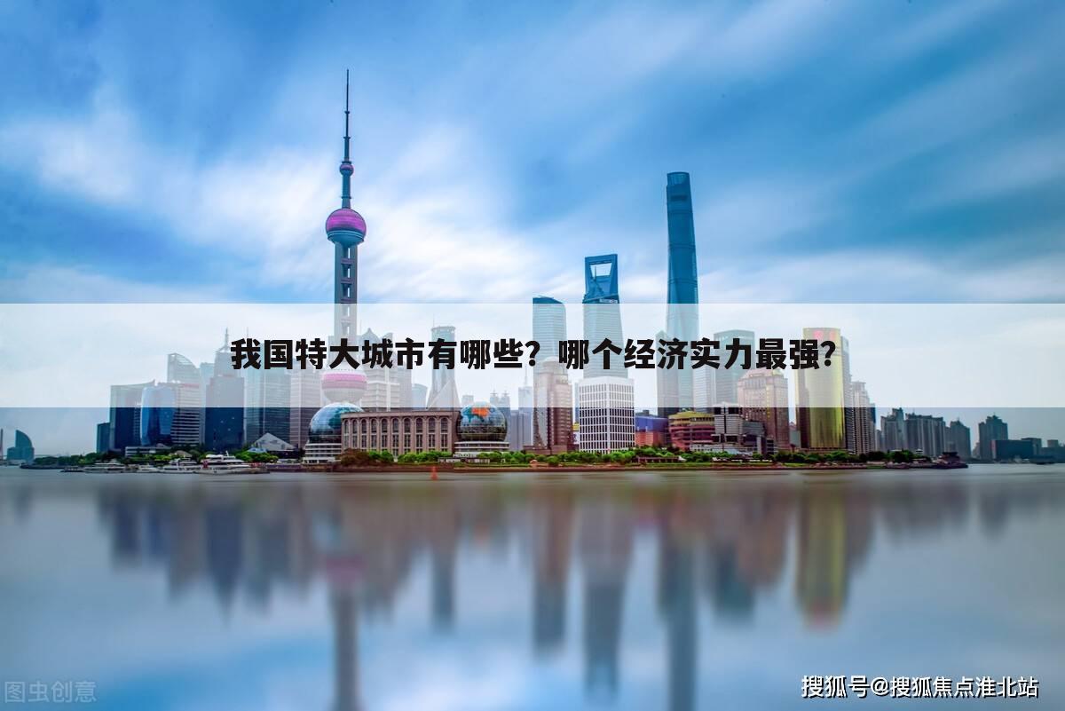 我国特大城市有哪些？哪个经济实力最强？