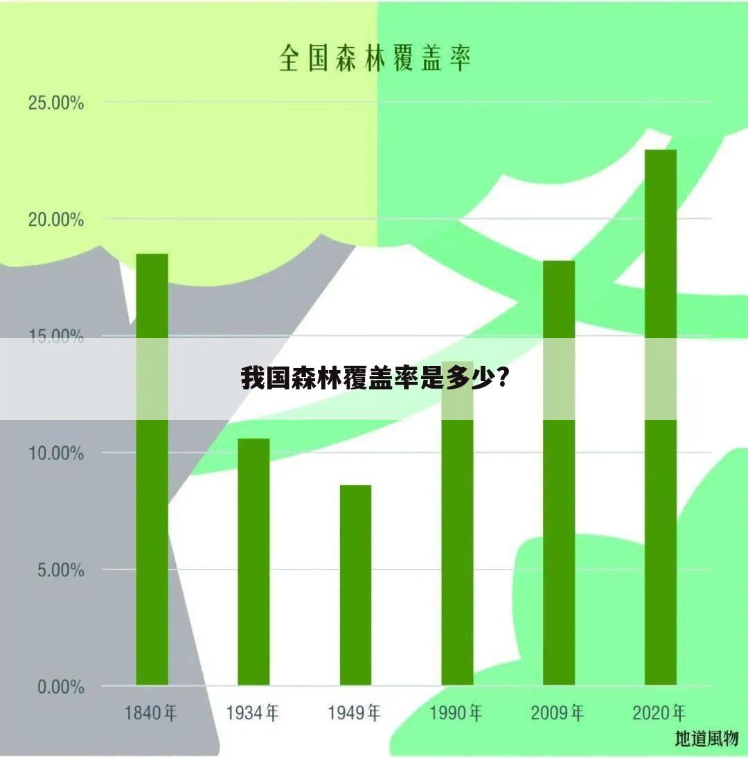 我国森林覆盖率是多少?