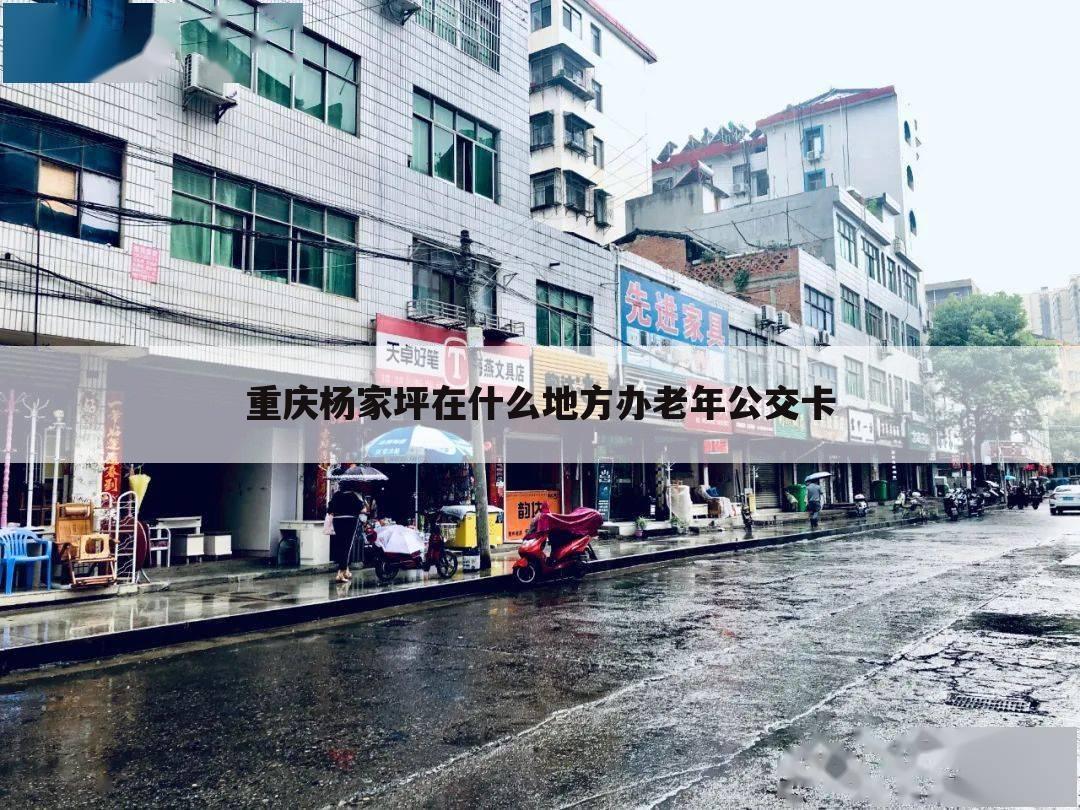 重庆杨家坪在什么地方办老年公交卡