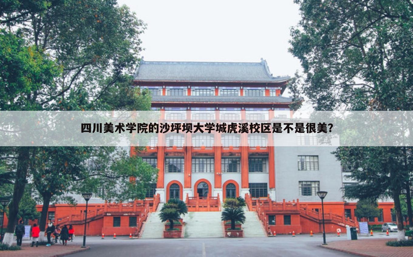 四川美术学院的沙坪坝大学城虎溪校区是不是很美?