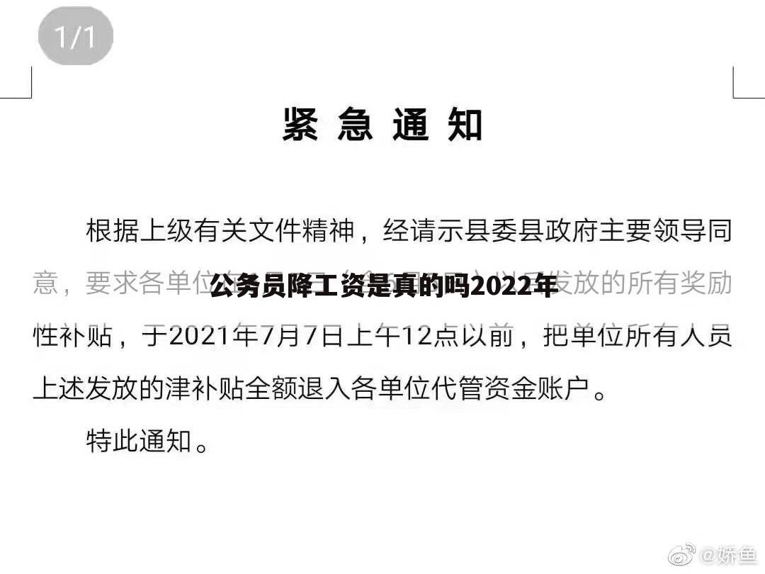 公务员降工资是真的吗2022年